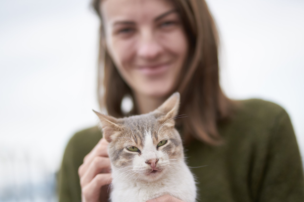 抱着猫的女生最新头像探索，流行背后的故事与情感表达