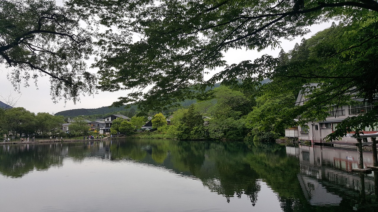 日本旅游最新动态，探索未知，无限精彩之旅